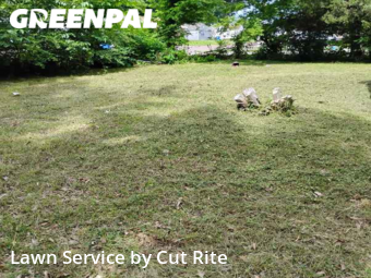 Lawn Cut nearby Memphis, AR, 