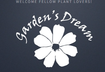 Best Nursery in Springfield Massachusetts 3