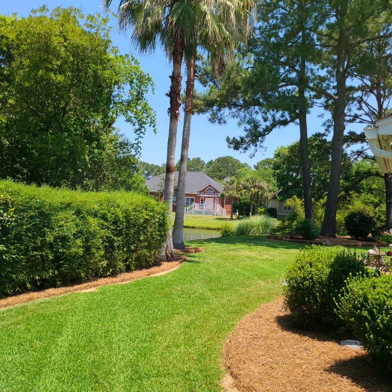 Order Lawn Care in Charleston, SC, 29414