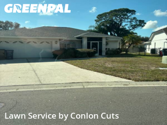 Lawn mowed in Bradenton, 34203