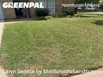 Lawn Cut nearby Tomball, TX, 