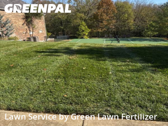 Affordable Landscaping Maintenance Services In Springfield,65810,Landscapers by Green Lawn Fertilizer, work completed in Nov , 2025