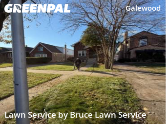 Lawn Carein Chicago,60707,Lawn Maintenance by Bruce Lawn Service, work completed in Dec , 2025