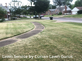 Lawn Cutting nearby St. Louis, IL, 