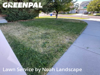 Grass Cut nearby West Jordan, UT, 