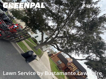 Yard Cutting nearby Corpus Christi, TX, 