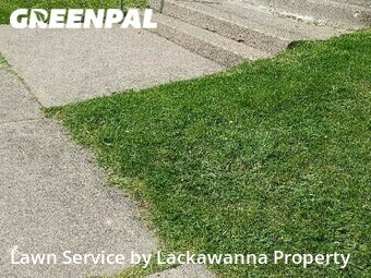 Yard Mowing nearby Scranton, PA, 