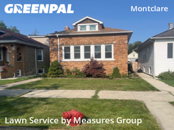 Lawn Care Service nearby Chicago, IL, 