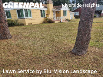 Residential Landscaping In Tampa,33602,Landscaping by Blu' Vision Landscape, work completed in Nov , 2025