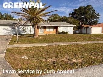 Lawn Mow nearby Spring Hill, FL, 