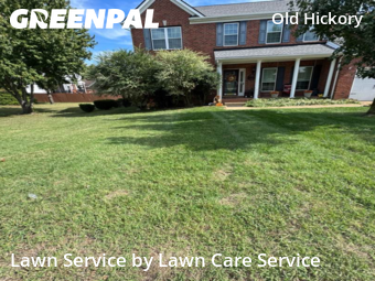 Lawn Mow nearby Green Hill, TN, 
