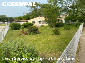 Lawn Mowing Service nearby Robbins, IL, 