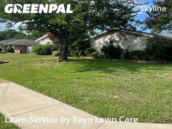 Lawn Maintenance nearby Mesquite, TX, 