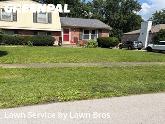 Yard Cutting nearby Jeffersontown, KY, 