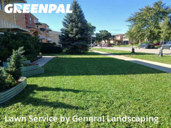 Yard Grooming in Elmwood Park, 60707, Yard Cutting by General Landscaping , work completed in Nov , 2025