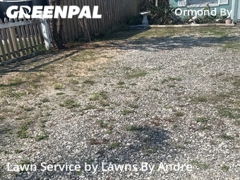 Yard Cutting nearby Ormond Beach, FL, 