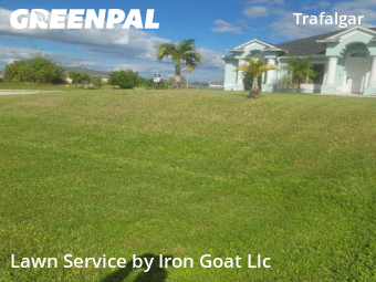 Yard Cutting nearby Cape Coral, FL, 
