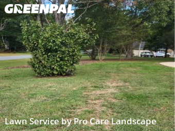 Yard Cuttingin Concord,28027,Lawn Mow by Pro Care Landscape , work completed in Dec , 2025