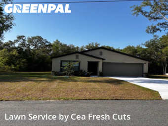 Grass Cut nearby Citrus Springs, FL, 