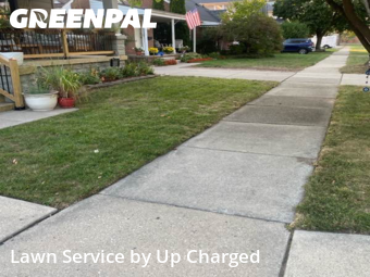 Lawn Care Service nearby Dearborn, MI, 