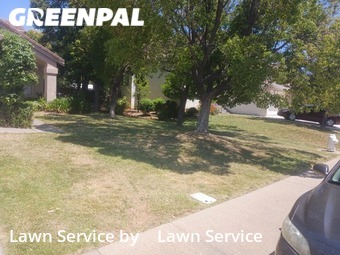 Yard Cutting nearby Fairfield, CA, 