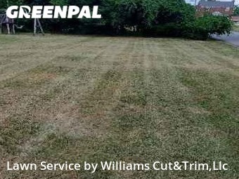 Lawn Mow nearby Pittsburgh, PA, 