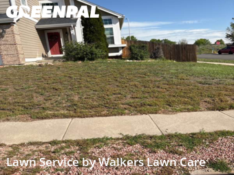 Lawn Mow nearby Colorado Springs, CO, 