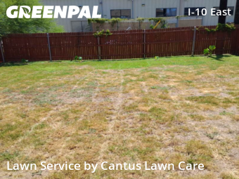 Lawn Mowing nearby San Antonio, TX, 