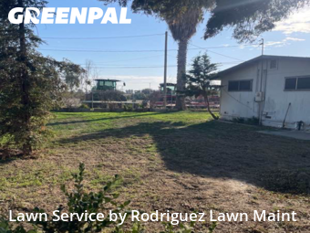 Work completed by residential-lawn-cutting-businesses-in-Tulare-CA