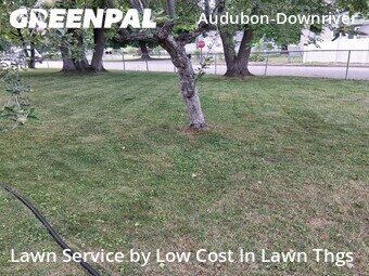 Grass Cut nearby Spokane, WA, 