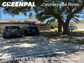 Lawn Mow nearby Clearwater, FL, 