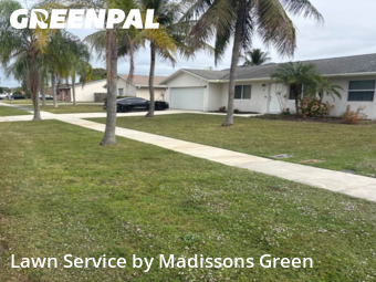 Yard Cutting nearby Royal Palm Beach, FL, 