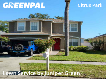 Grass Cut nearby Tampa, FL, 