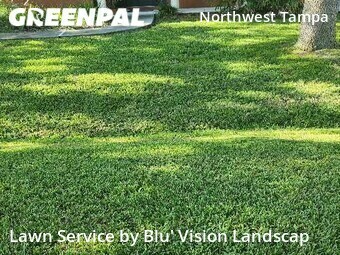 Yard Cutting nearby Tampa, FL, 
