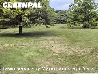 Lawn Service nearby Lake Bluff, IL, 