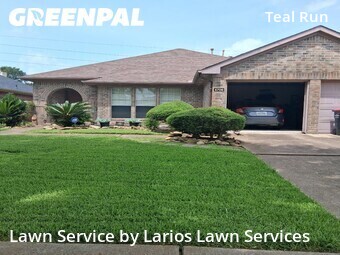 Lawn Cut nearby Fresno, TX, 