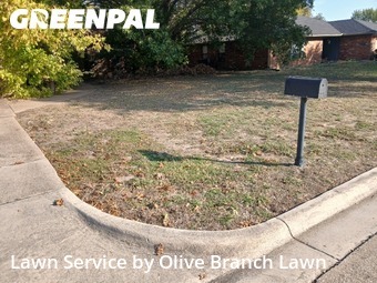 Lawn Mowing Servicein Keller,76248,Lawn Mowing Service by Olive Branch Lawn, work completed in Feb , 2026