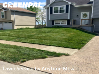 Grass Cutting nearby Lee's Summit, MO, 