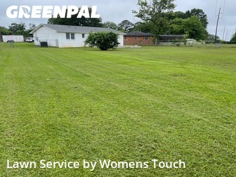 Grass Cutting nearby Tuscaloosa, AL, 