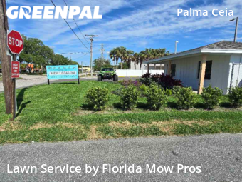 Lawn Mowing Service nearby Tampa, FL, 