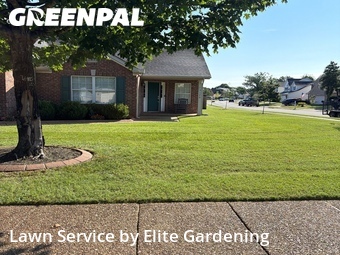 Grass Cutting nearby Franklin, TN, 