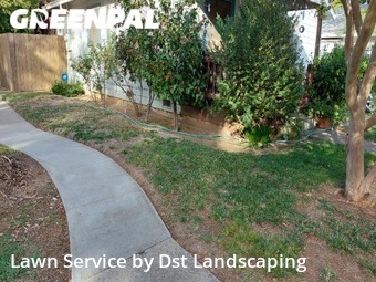 Grass Cut nearby Sacramento, CA, 