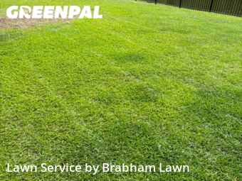 Lawn Cut nearby Geismar, LA, 