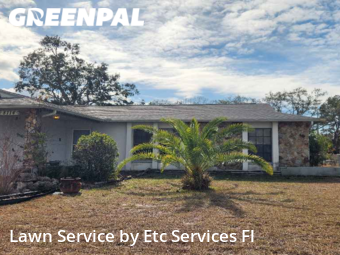 Mowing Services in Bayonet Point, 34668, Yard Maintenance by Etc Services Fl, work completed in Nov , 2025
