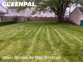 Yard Work in Eastlake, 44095, Yard Maintenance by Mgc Stratton, work completed in Nov , 2025