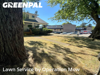 Yard Mowing nearby Canton, OH, 