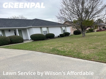 Lawn Cut nearby Valdosta, GA, 