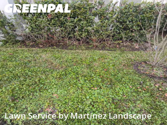 Lawn mowed in Horizon West, 34786