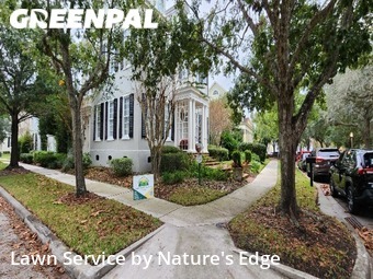 Grass Cut nearby Kissimmee, FL, 