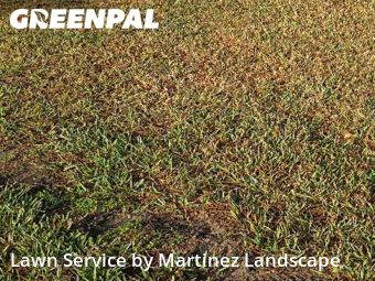 Lawn mowed in Leesburg, 34788